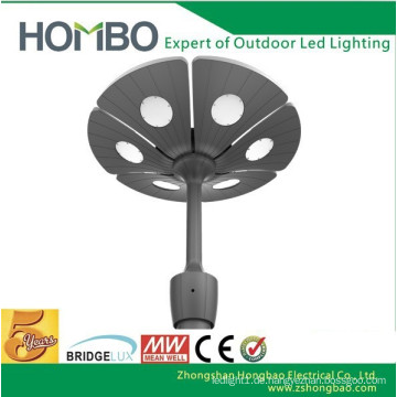 CE RoHS 240V 30W führte Gartenlampen COB, LED-Gartenlicht 30W COB - Topverkauf, gute Qualitätsparken führte Baldachinlicht